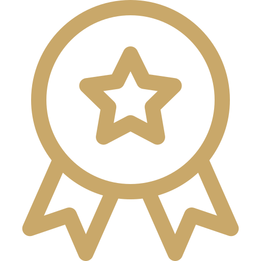 Berufserfahrung Icon